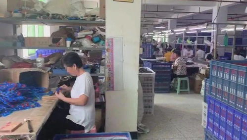 涉案超千萬！徐匯警方偵破玩具著作權(quán)侵權(quán)大案，假冒禮品花卉流入市場